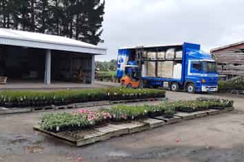 Invest Now - Nursery Opportunity in Manawatu