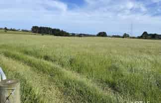 590 + 592 Mangorei Road, Mangorei