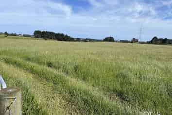 590 + 592 Mangorei Road, Mangorei