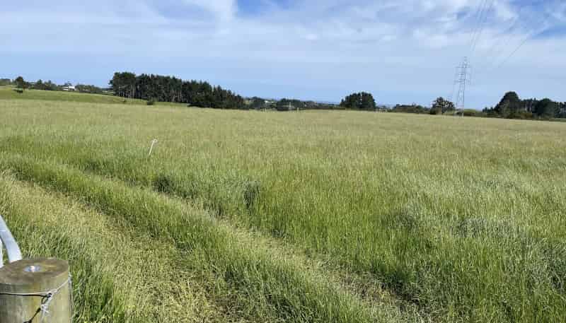 590 + 592 Mangorei Road, Mangorei