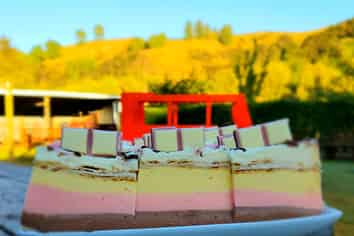 Freehold Lifestyle Enterprise Turnover $1M+