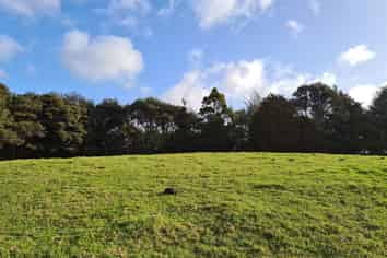 Lot 3/301 Peak Road, Kaukapakapa