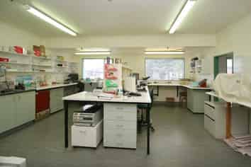 Medical Mile Office Corner For Lease