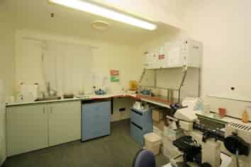 Medical Mile Office Corner For Lease