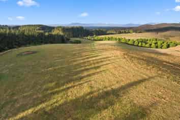  Waterworks Road, Morrinsville