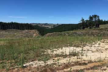 Lot 1 Martin Access Road, Makarau