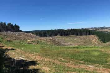 Lot 1 Martin Access Road, Makarau