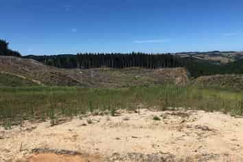 Lot 1 Martin Access Road, Makarau