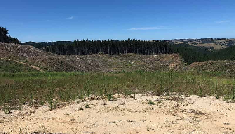 Lot 1 Martin Access Road, Makarau