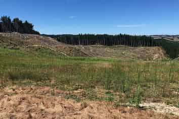 Lot 1 Martin Access Road, Makarau