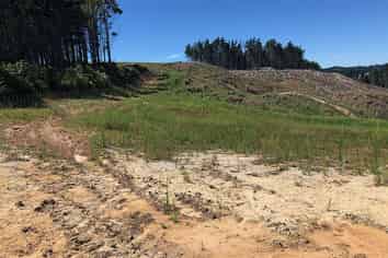 Lot 1 Martin Access Road, Makarau