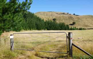 487 Whangamata Road, Kinloch