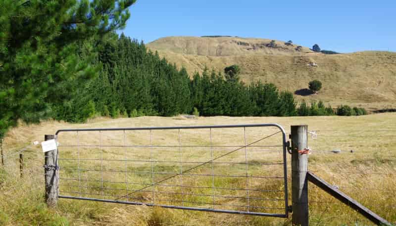 487 Whangamata Road, Kinloch