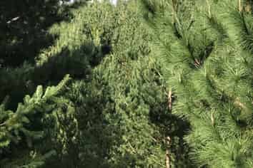 487 Whangamata Road, Kinloch