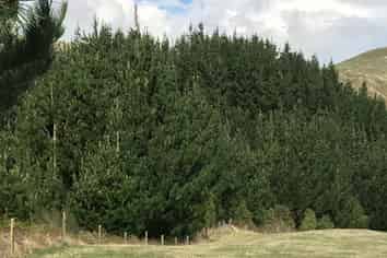 487 Whangamata Road, Kinloch