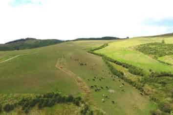 Auckland - Address withheld