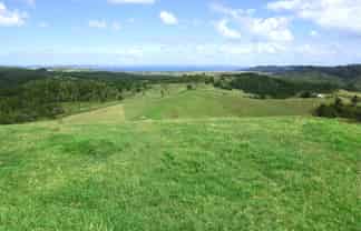 Auckland - Address withheld