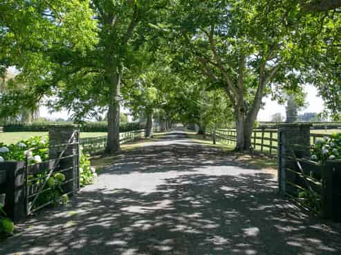 441 Taihoa South Rd, Matamata