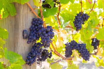 4646 State Highway 1, Awatere Valley