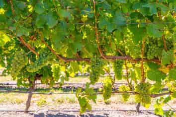 4646 State Highway 1, Awatere Valley