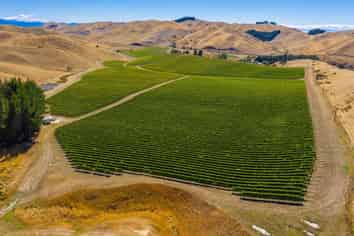 4646 State Highway 1, Awatere Valley