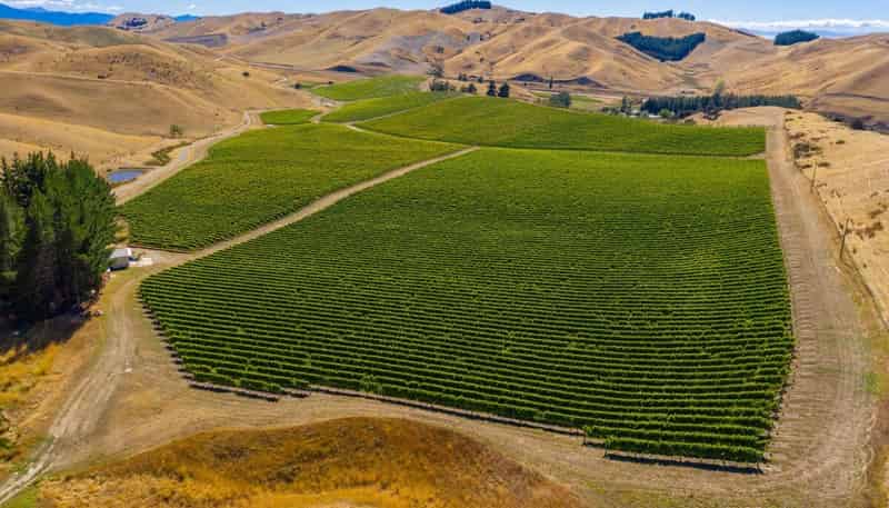 4646 State Highway 1, Awatere Valley