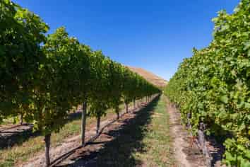 4646 State Highway 1, Awatere Valley