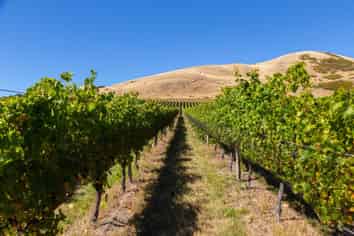 4646 State Highway 1, Awatere Valley