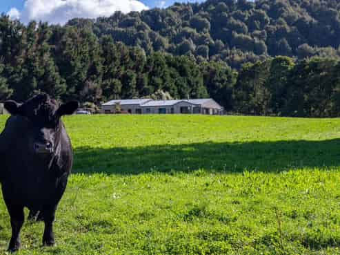 250 Endean Road, Ngongotaha