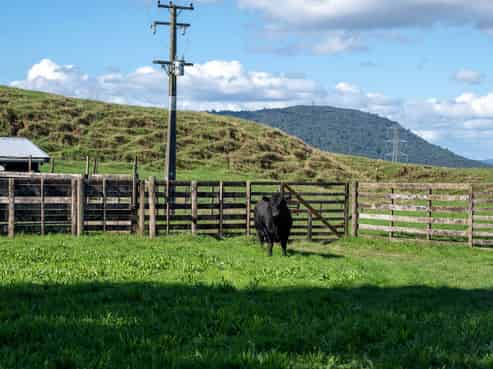 250 Endean Road, Ngongotaha