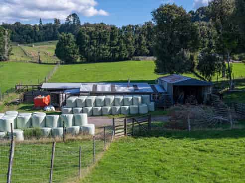 250 Endean Road, Ngongotaha