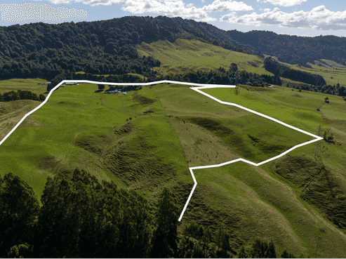 250 Endean Road, Ngongotaha