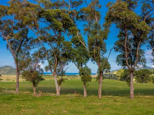 443 Hot Water Beach Road, Hahei