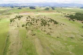 Truebridge Drive, Waitarere Beach