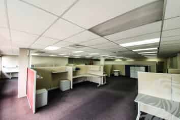 Versatile Office Space of up to 392m²