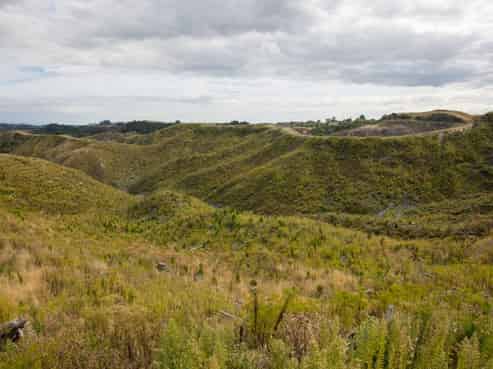  Ridge Road, Pohangina