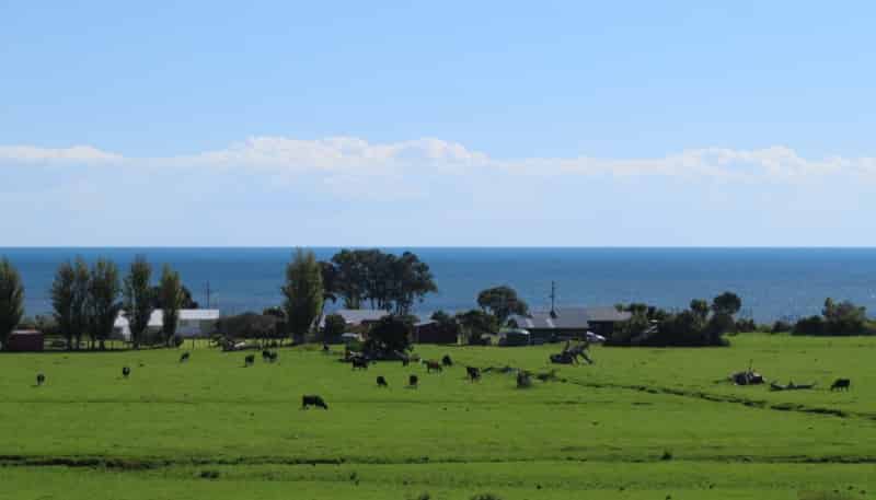 2454D Colville Road, Coromandel Coast