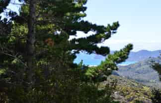 478 Port Charles Road, 