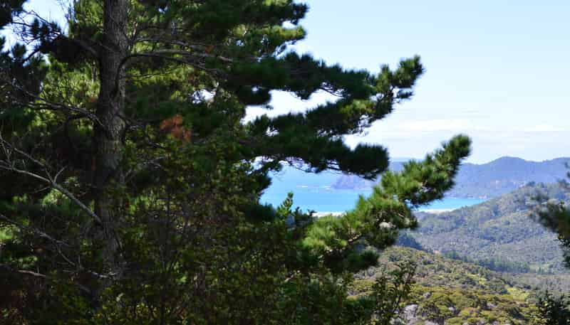 478 Port Charles Road, 