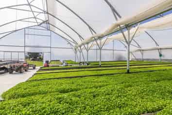 A growing investment and lifestyle