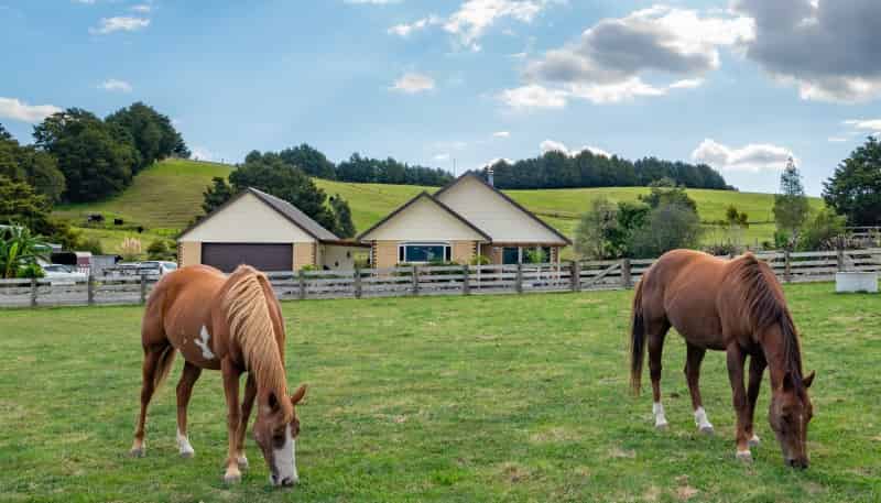 140 Carruth Road, Poroti