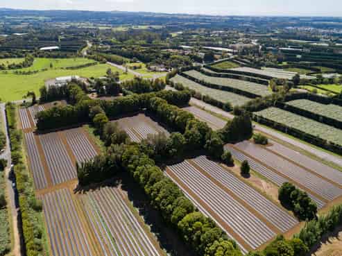 STRATEGICALLY SITUATED CORNER BLOCK