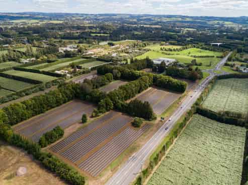 STRATEGICALLY SITUATED CORNER BLOCK