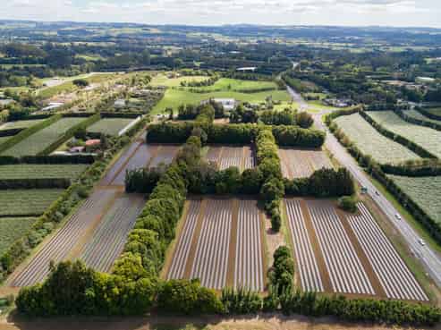 STRATEGICALLY SITUATED CORNER BLOCK