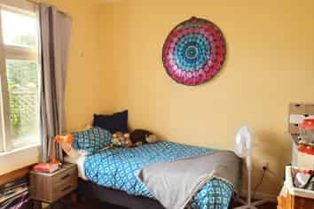 349 Tay Street, Turnbull Thomson Park