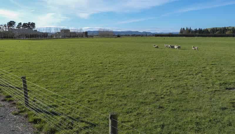 30 Lady Barkly Road, Winton