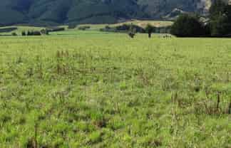 274 Sheddan Road, Tapanui