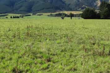 274 Sheddan Road, Tapanui