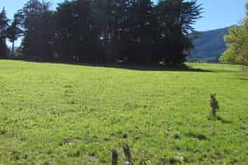 274 Sheddan Road, Tapanui