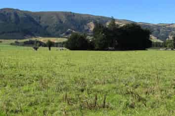 274 Sheddan Road, Tapanui